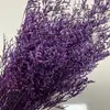 Hierba de Amante Inmortalizada Flores Secas Ramo de Flores Secas Decoración del Hogar Accesorios de Arreglo Floral Materiales Hechos a Mano DIY Flores Inmortalizadas