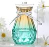 Vaso de Vidro Criativo Simples Estilo Europeu Nutrição Hídrica Bambu Rico Planta Verde Flores Flores Secas Sala de Estar Ornamentos Decorativos Garrafa de Vidro