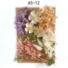 Bolsa de Materiales DIY Flor Seca Inmortal Tuanjian Marco de Fotos Pintura Tarjeta de Felicitación Tuanfan Ramo Pequeño Hecho a Mano Flor Real Bolsa de Flores en Relieve