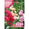 Semillas de Malvarrosa de Flor Doble Florecen en Todas las Estaciones, Cosmos de Exterior Semillas de Flores Fáciles de Cultivar, Semillas de Flores para Jardín de Verano