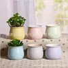 Serie de Macarrones Personalizados Transfronterizos Macetas de Cerámica para Suculentas Macetas para Cactus Macetas Combinadas de Colores