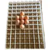 Bandeja de Huevos de Plástico Grueso de Venta Caliente Transfronteriza, Bandeja Grande de Plástico para 88 Huevos