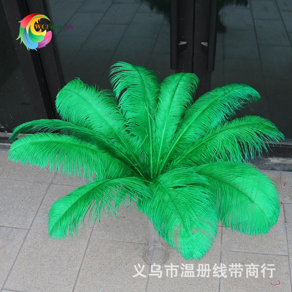 5 鸵大杆 60-65cm 1
