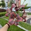 Nuevos fabricantes de flores artificiales 3D 6 cabezas tacto grande Lirio Verde Lirio Perfumado boda flores falsas suaves al por mayor