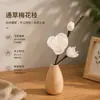 Flores de Aromaterapia sin Llama Personalizables, Flores de Hierba, Ramas, Ratán, Flores Secas Absorbentes de Aceite, Flores de Hierba, Exportación Transfronteriza, Exclusivamente para Ramos