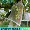 Bolsa de Malla de Nylon para Exteriores, Bolsa para Uvas, Bolsa Protectora para Frutas (Toronja, Pera, Naranja), a Prueba de Insectos, Pájaros y Lluvia