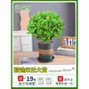 Planta en Maceta Flor de Milán, Planta de Interior con Flores y Capullos, Planta Verde Repelente de Mosquitos, Bonsái de Tocón Viejo, Planta de Floración Cuatro Estaciones, Fragante y Fácil de Cuidar
