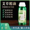 Los fabricantes suministran aceite de ajenjo de alta concentración, aceite esencial de ajenjo, aceite de moxibustión, aceite esencial de masaje para salón de belleza, spa corporal, 500 ml.