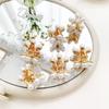 Acessórios de cabelo doces para passeio de primavera infantil Presilha pequena de pérola e margarida Presilha pequena simples e bonita para menina