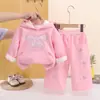 Conjunto Novo Outono e Inverno para Meninas 2026, Roupa de Inverno Espessa com Forro de Fleece Infantil, Conjunto de Duas Peças com Moletom com Capuz para Bebê Venda por Atacado