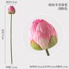 Flor de Loto Artificial Flor de Loto Nueva China Flor Falsa Hoja de Loto Decoración de Cúpula de Loto Decoración de Jarrón de Sala de Estar Accesorios para Sesión de Fotos