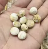Venta Caliente Transfronteriza Cuentas Espaciadoras de Acrílico Imitación Nácar Colgante Mariposa Estrella de Mar Caracola Colgante Accesorios de Ropa DIY Venta al por Mayor