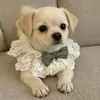 4 Peças de Gola de Renda para Cachorros Gatos, Gola Princesa Ajustável Macia com Laço de Veludo e Pérola, Adereço Fofo para Fotos de Pets para Todas as Estações