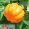 Decoração de Cachos de Uva Roxa e Verde Simulação Uvas Plásticas Falsas Folhas Verdes Videiras de Uva Videiras de Frutas Enfeites Plantas Teto