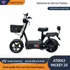 Bicicleta Elétrica de Manuseio Fácil para o Dia a Dia - Quadro Leve para Trajetos Diários