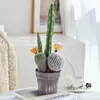 Bonsai de combinação de cactos, flores artificiais, plantas tropicais, plantas em vaso, decorações de interior, cactos suculentos de alta qualidade para vendas transfronteiriças