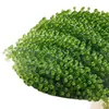 Uvas de Mar para Niños Frescas Listas para Comer Algas Verdes Vegetal de Longevidad Algas Marinas Col Marina Caviar de Sushi Plato Frío Salado