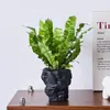 Helecho Nido de Pájaro Planta Verde para Sala de Estar Planta en Maceta de Interior para Entrada del Hogar, Baño, Dormitorio, Estación de Trabajo, Fácil de Cuidar, Aspecto de Alta Gama