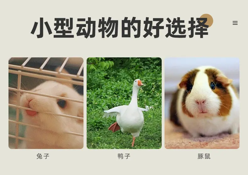 宠物笼子(塑料材质)详情_05.jpg