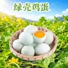 Huevos de Cáscara Verde de Henan Nanyang, envío directo de 20/40/50 piezas, huevos frescos de temporada alimentados con grano, huevos frescos de ave