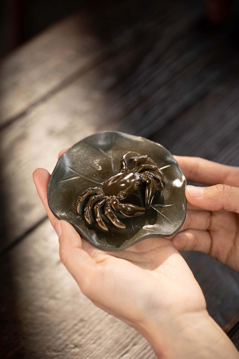 变色螃蟹20230516 (15).jpg