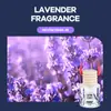 Transfronterizo Singapur Fangbao Formbo Auténtico Aromaterapia para Coche Perfume de Coche Fábrica de Cosméticos Comercio al por Mayor