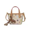 Bolsa de mão popular de alta qualidade estilo cesta para mulheres, nova bolsa mini de ombro e transversal de nicho para o dia a dia, moderna