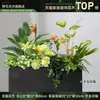 Caja de flores decoración flores y plantas arreglo floral producto terminado adorno de planta verde venta de restaurante oficina mampara canaleta de flores paisajismo biónico