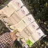 Meias Esportivas de Algodão com Malha Média para Tornozelo Qianzufang Unissex 26 Primavera/Verão Meias Coloridas de Algodão Meias Femininas Versáteis e Fofas