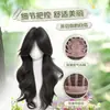 Peluca larga y ondulada para mujer, con raya media en la frente, cabello rizado largo, voluminosa, natural, versátil, elegante y cobertura completa de la cabeza.