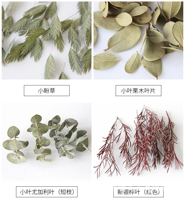 中文_08