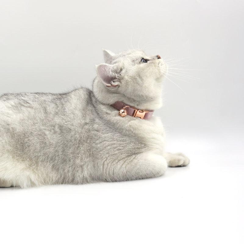 INS风柔软天鹅绒猫项圈可定制防丢个性刻字猫圈 小型犬宠物脖