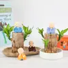Planta da sorte hidropônica de madeira brasileira, planta verde florida, planta hidropônica de vaso para interior, figura de árvore Groot, com botões o ano todo