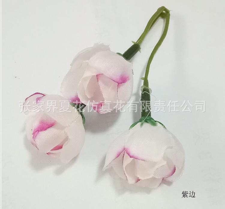详情2紫边.jpg