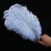 Directo de fábrica 35-40 cm pluma de avestruz actuación en escenario color pluma grande diy decoración de boda flor avestruz