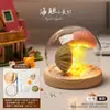 Luz de Noche de Gelatina de Concha de Erizo de Mar Natural Kit de Materiales Hechos a Mano para Bricolaje Adorno Decorativo Regalo para Niños y Novias