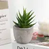 Suculenta Diamante artificial em vaso pequeno bonsai planta verde de escritório decoração venda quente transfronteiriça suculenta planta atacado