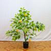 Limoeiro Artificial Planta em Vaso Planta Decorativa de Interior para Sala de Estar Árvore Falsa Ornamento de Chão Planta Verde para Casa Alta Simulação
