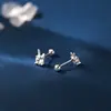 Pendientes de Plata Pura S999 con Diamante Brillante y Zircón de Conejo, Femeninos, Clavos Compactos para Cartílago, Orejas Perforadas, No es Necesario Quitar los Tornillos al Dormir