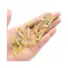 Cebo Suave Luminoso con Anzuelo, Camarón Suave, Gusano Suave, Señuelo, Cebo Artificial, Cebo Artificial Imitación de Pez para Whitefish, Lubina, 4cm, Camarón Falso