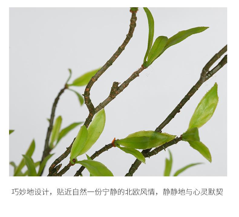 详情页改版_06.jpg