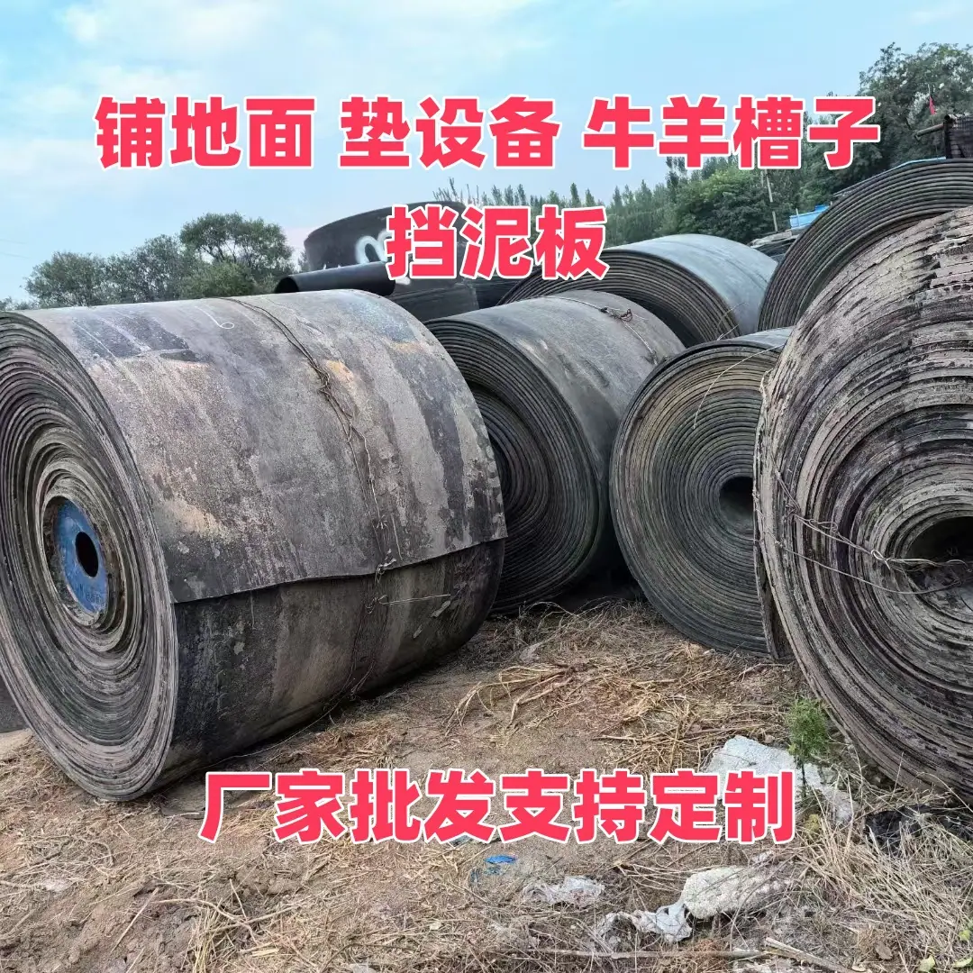 微信图片_20241112173550_副本