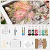Pintura para vidrio Pebeo para pintar a mano DIY, impermeable, sin cocción, transparente, para arte cerámico y pintura creativa, al por mayor