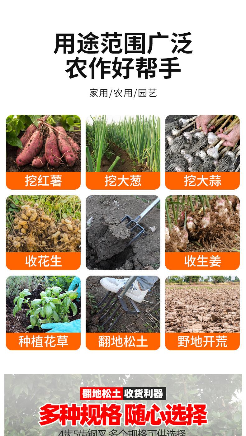 2 拷贝.jpg