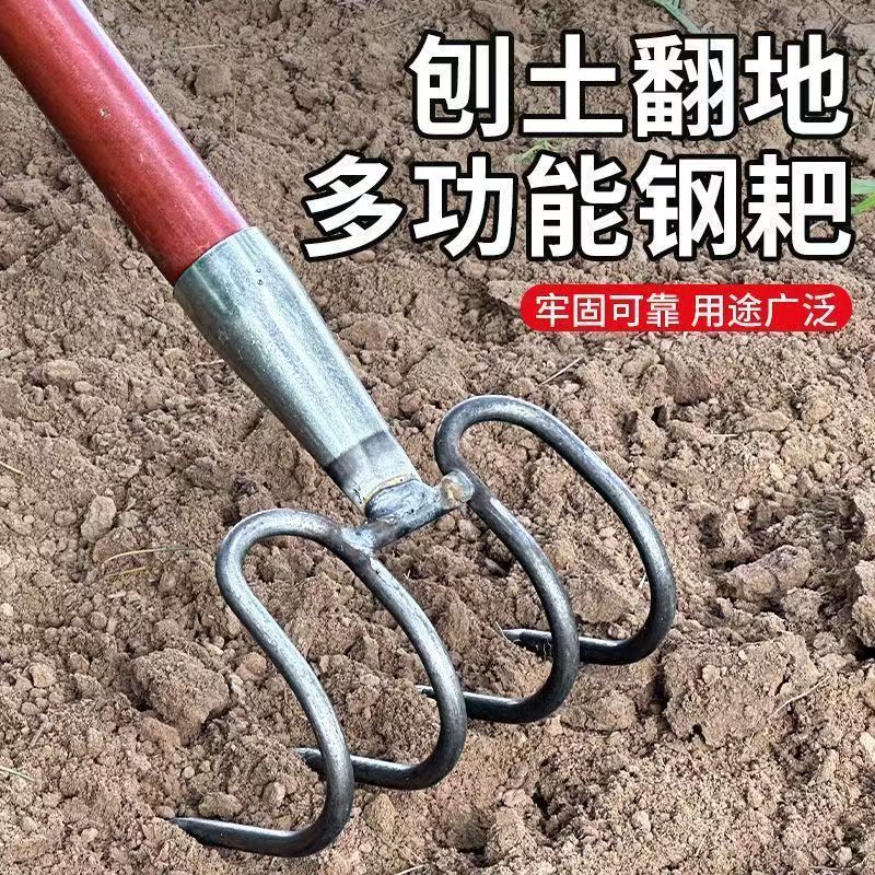 微信图片_20250307222521
