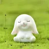 Paisaje en miniatura con lindos conejos de dibujos animados de animales, casas de zanahoria, adorables decoraciones de jardín de conejitos, adornos de resina y accesorios para el Año del Conejo