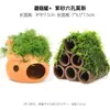 Aquário Musgo Terrário Planta Aquática Paisagismo Planta Real Tanque de Esconderijo para Peixes e Camarões Casa de Camarão Pequeno Ornamento Casa de Esconderijo para Criação de Peixes Pequenos