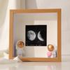 Conjunto de Porta-Retratos Estéreo com Flores Secas Vazadas Mesa 8 polegadas Planta Casca de Argila Espécime de Inseto Porta-Exibição de Fotos DIY Feito à Mão
