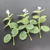 Eucalipto Simulada Grama do Dinheiro DIY Flor Artificial Caixa de Flores da Amazon com Folhas Casamento Casa Decoração de Rattan Folhas Decorativas