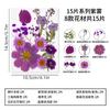 Paquete de Materiales DIY de Flores Secas en Relieve Flores Reales Hojas Muestras de Plantas Marcadores de Página con Relieve Facial Pegamento Pinturas Decorativas